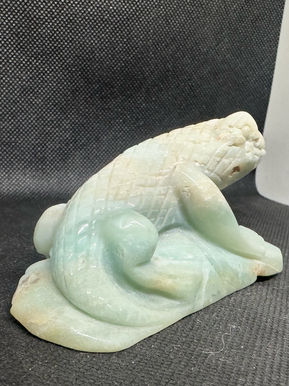 Amazonite lizard - Picture 6 of 6